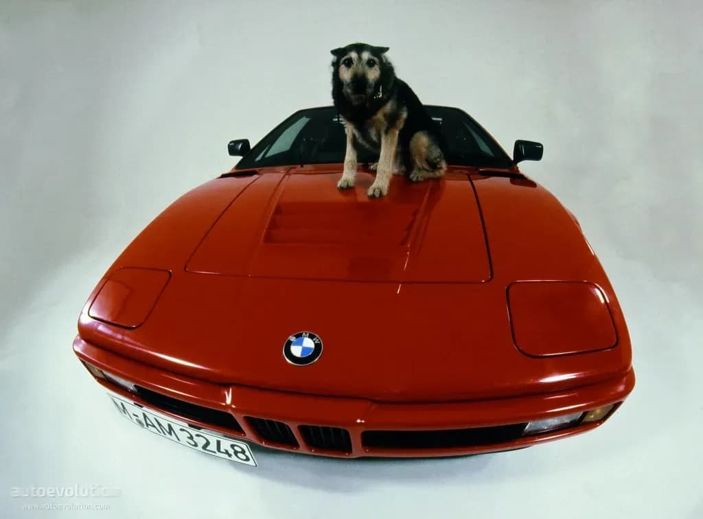 BMW-M1