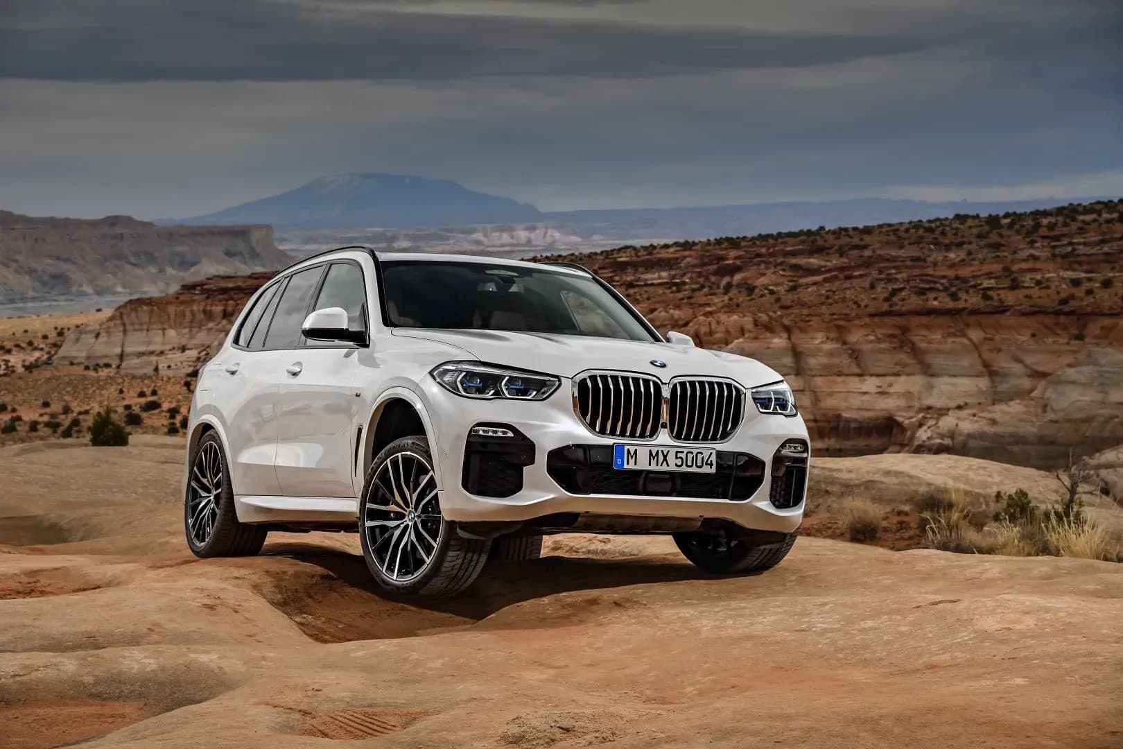 BMW-X5